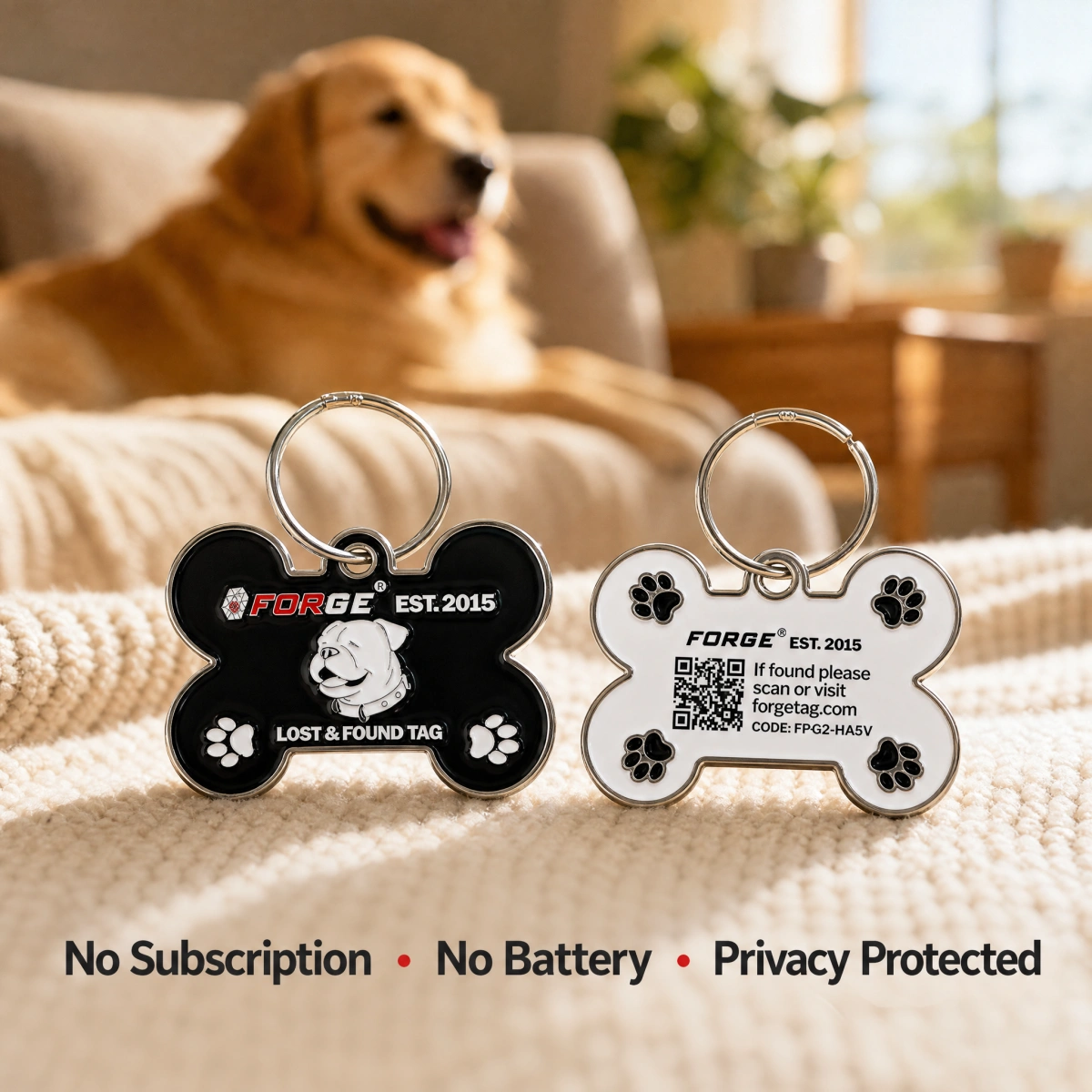 Forge Tag Lost and Found Travel Tag - Pet Tag 2 Pack