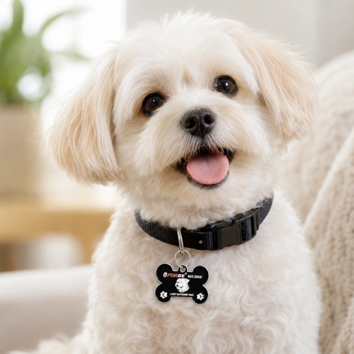 Pet Tags
